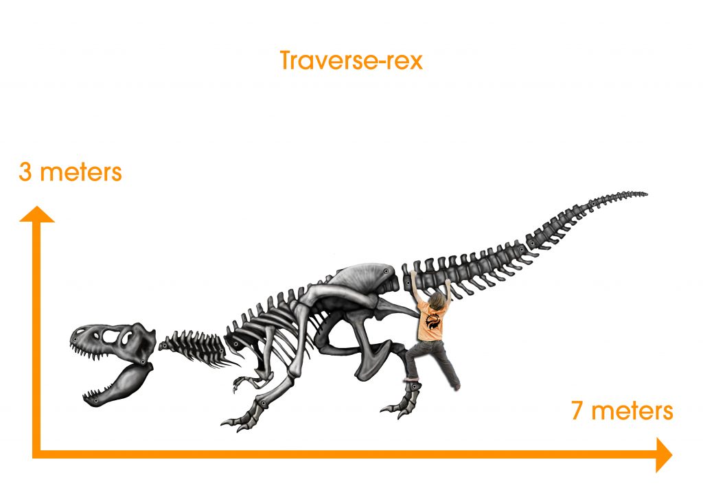 trex size Incredible Creations